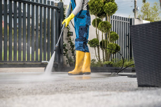 Best Roof Power Washing Services  in Wellsville, OH